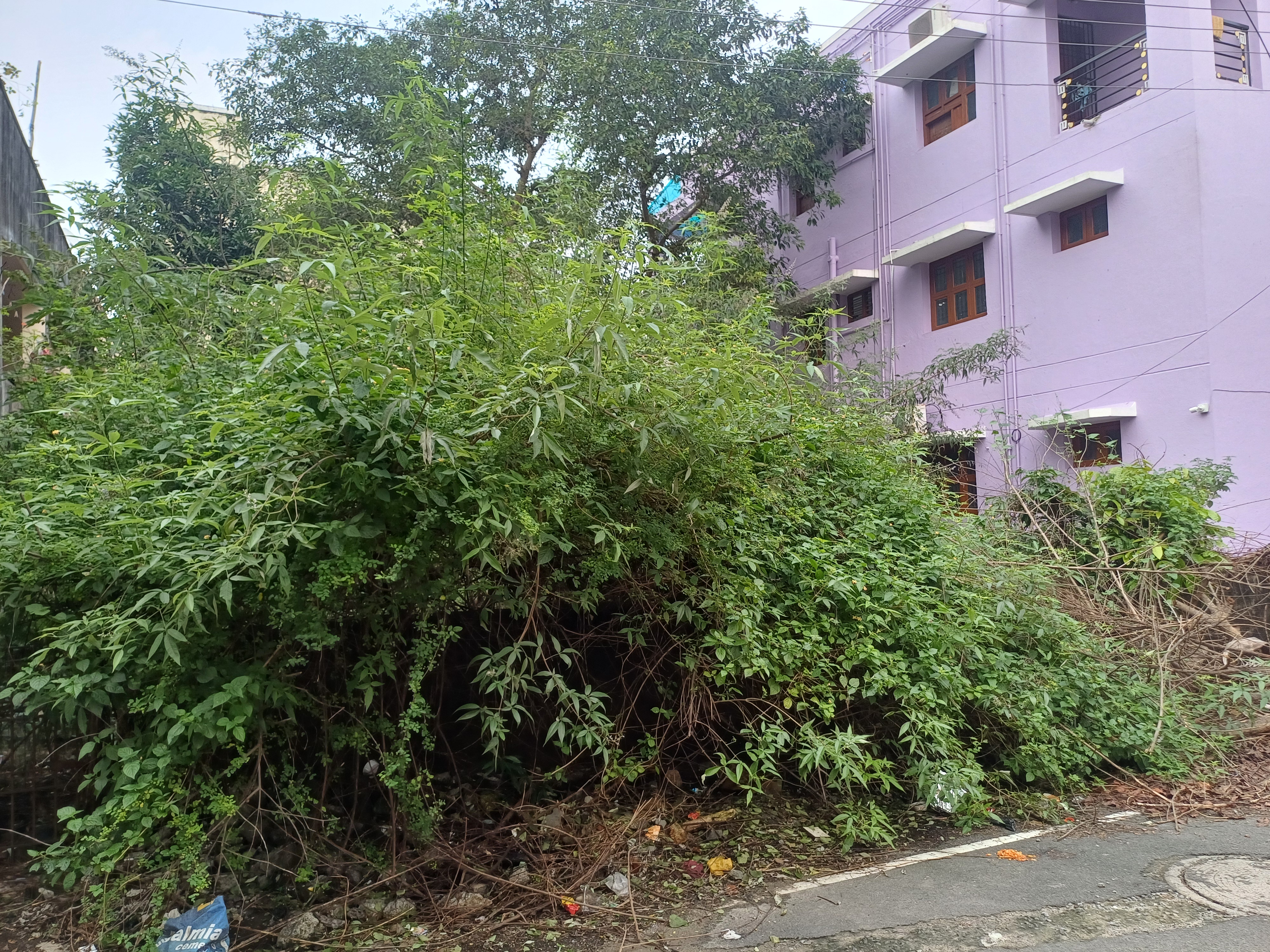Plot For Sale in East Spartan Road