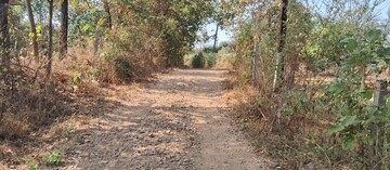 Plot Area in  Plot at SS Farm, Karjat – for Sale