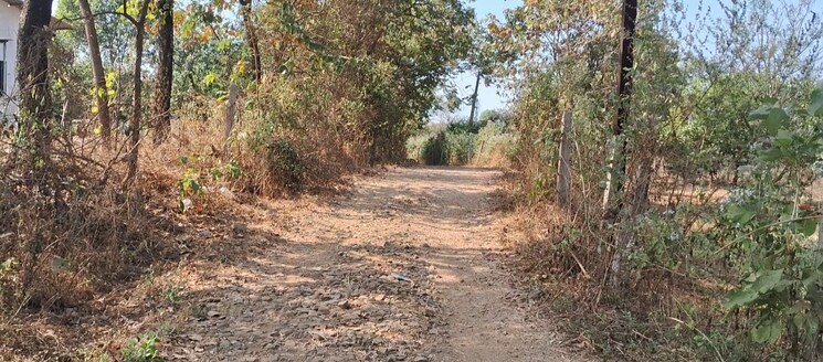 undefined, ss-farm  14000 Sq.Yd. Plot In Karjat Navi Mumbai 8043774