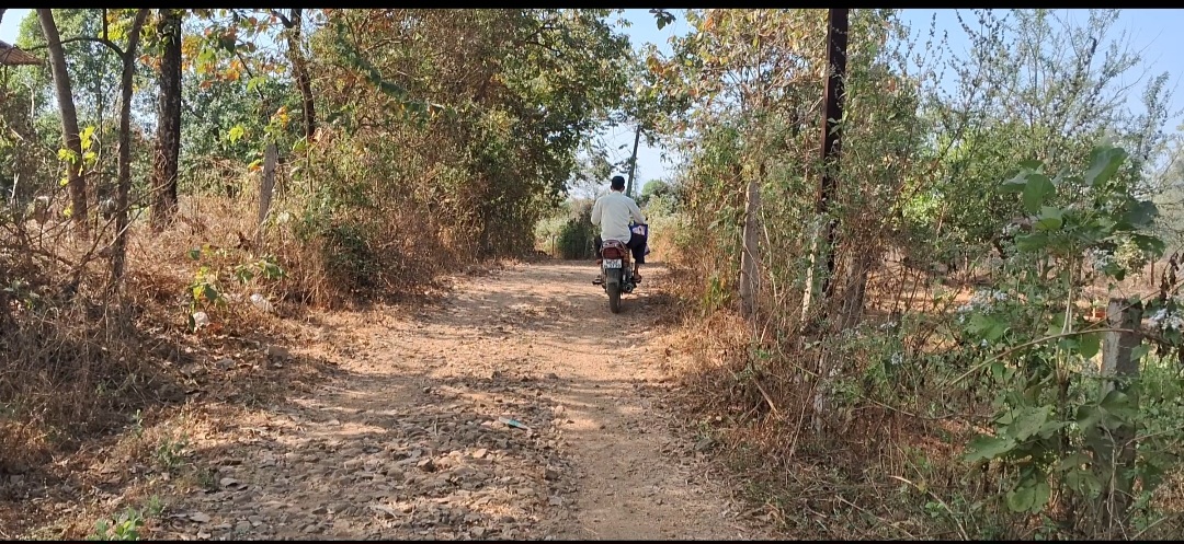 Plot For Sale in SS Farm