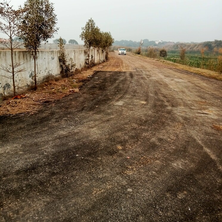 undefined, upsidc site b  100 Sq.Yd. Plot In Upsidc Site B Greater Noida 8043988