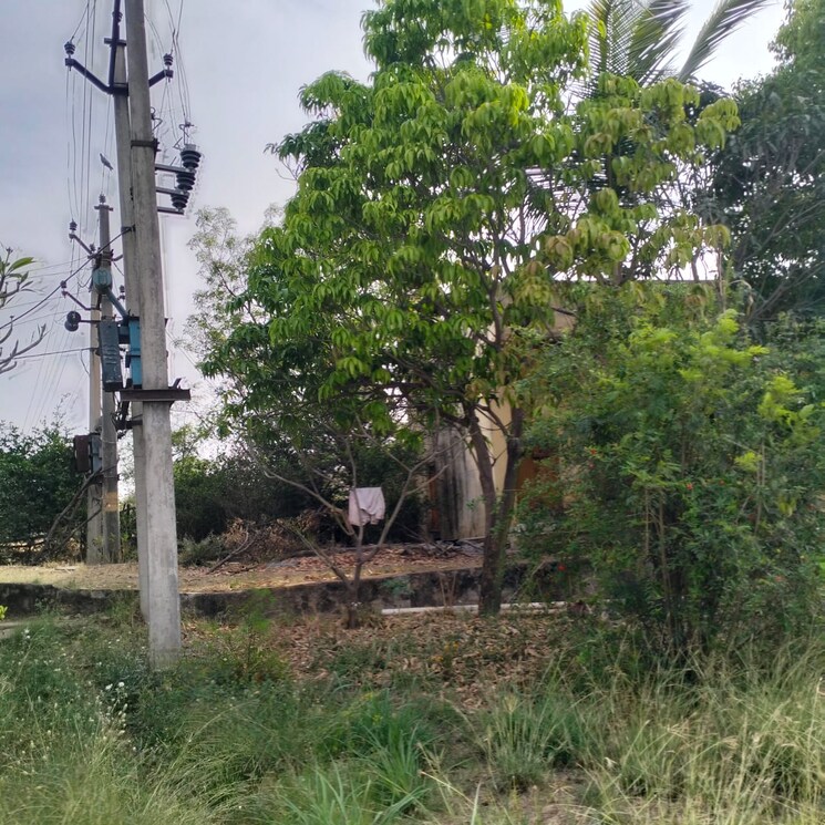 Garden, golden-valley-roza-jalalpur  150 Sq.Yd. Plot In Roza Jalalpur Greater Noida 8044016