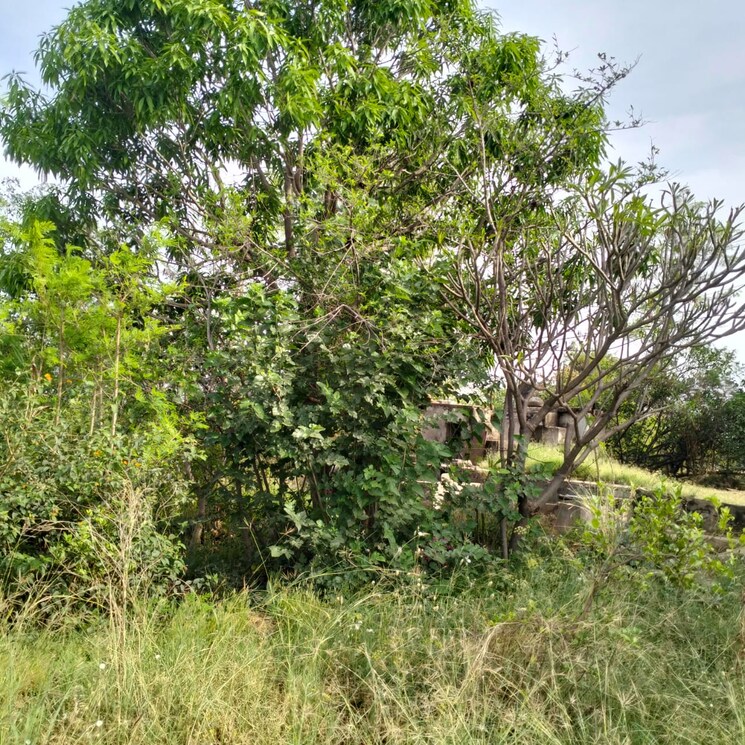 undefined, golden-valley-roza-jalalpur  150 Sq.Yd. Plot In Roza Jalalpur Greater Noida 8044016