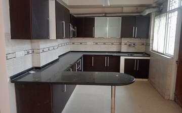 3 BHK Apartment For Rent in Parsvnath Green Ville, Sector 48
