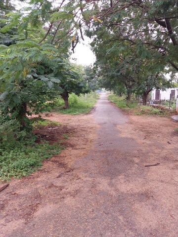 Plot Area in  Plot at Tatti Annaram – for Sale