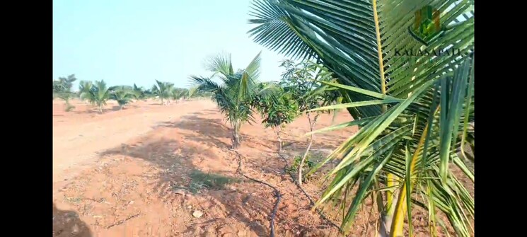 Exterior View, maheshwaram  242 Sq.Yd. Plot In Maheshwaram Hyderabad 8044474