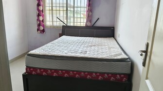 2 BHK Apartment For Rent in Fountain Life Apartment Cv Raman Nagar Bangalore  8044487