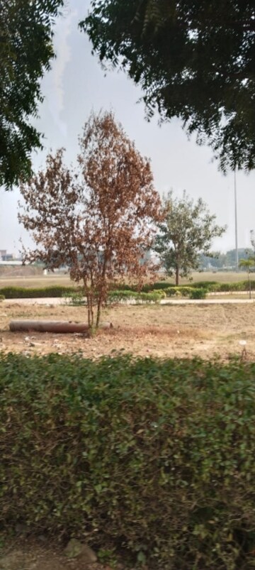Plot Area in  Plot at Gaur Yamuna City 7th Parkview, Gaur Yamuna City – for Sale