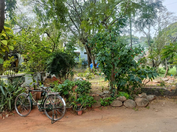 undefined, versova-earth  5500 Sq.Ft. Plot In Kaggadasapura Bangalore 8044672