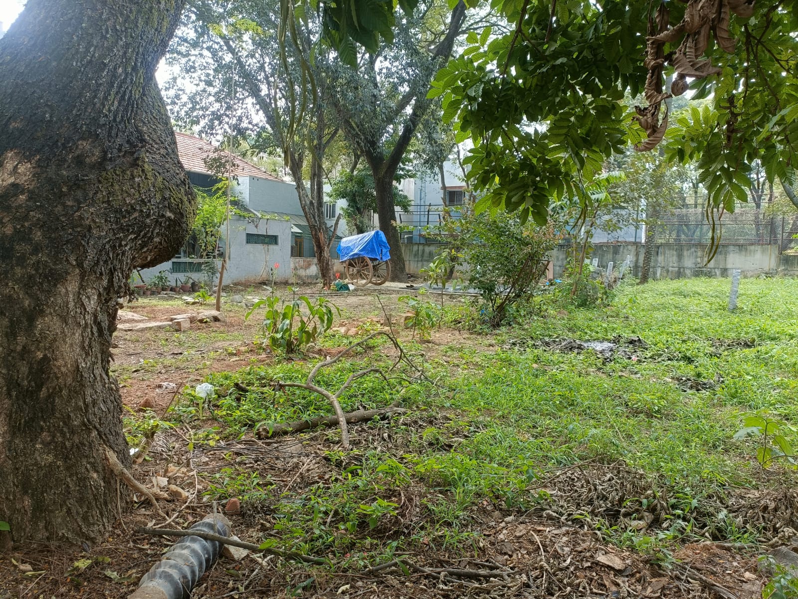 Plot For Sale in Versova Earth