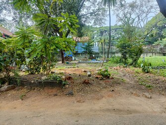 Plot For Resale in Versova Earth Kaggadasapura Bangalore  8044672