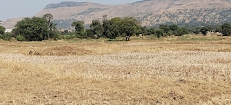 Plot For Resale in Igatpuri Nashik  8044839