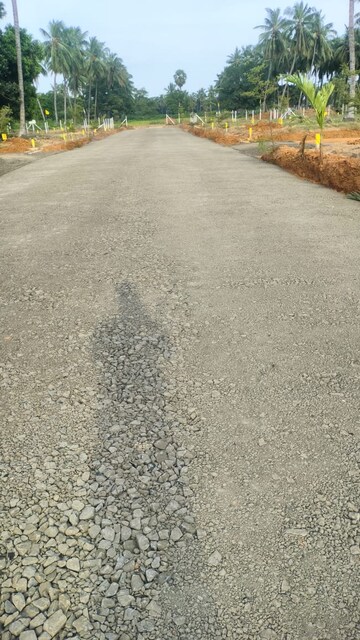 Plot Area in  Plot at Gyan Vihar – for Sale