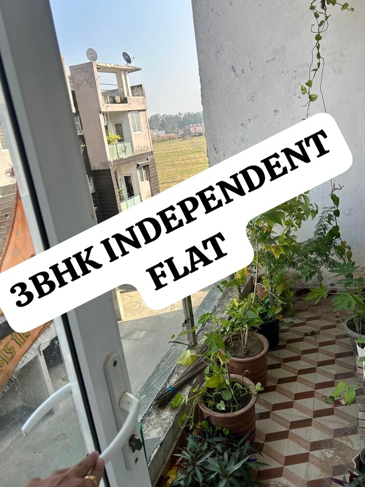 Exterior View, pir machalla 3 Bedroom 900 Sq.Ft. Builder Floor In Pir Machalla Zirakpur 8045533