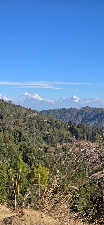  Plot – Exterior View View at Mukteshwar - for Sale