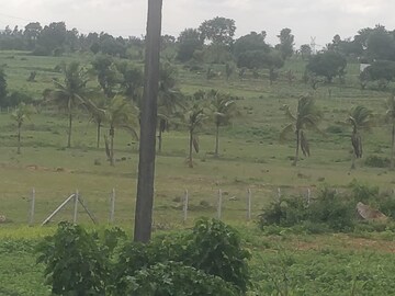  Plot For Sale in Ashwath Nagar