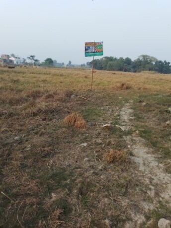 Plot For Resale in Joka Kolkata  8045503