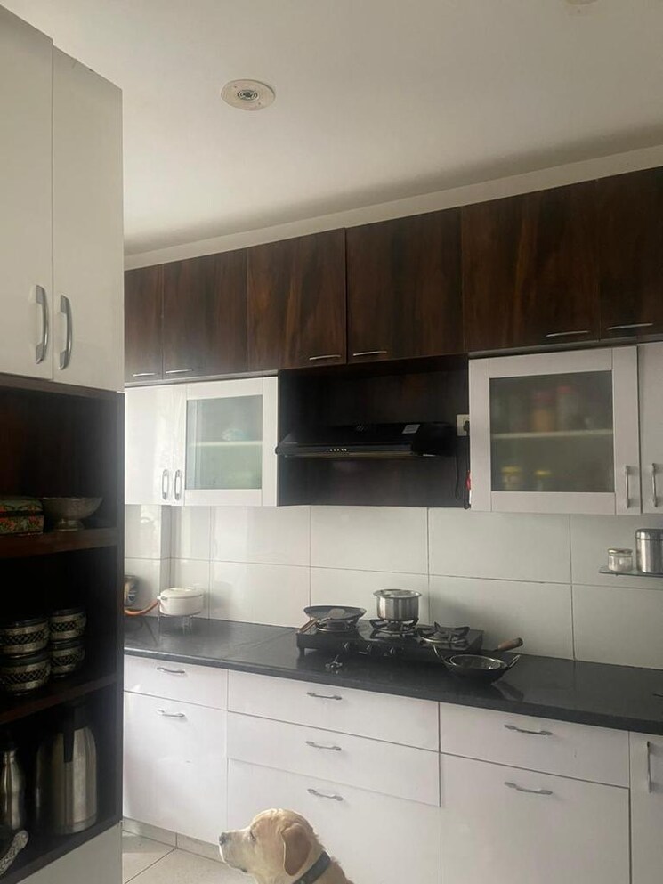 Kitchen, motia-royal-citi-apartments 3 Bedroom 1910 Sq.Ft. Apartment In Ghazipur Zirakpur 8045843