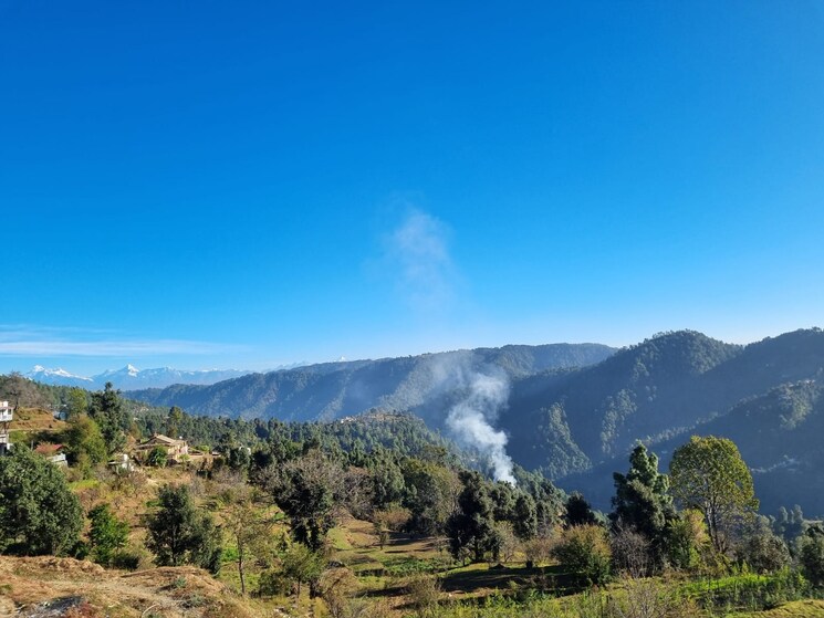 undefined, nainital mukteshwar highway  600 Sq.Yd. Plot In NainitaL Mukteshwar Highway Nainital 8045818