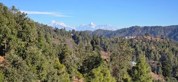  Plot For Sale in Mukteshwar