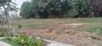 Plot For Resale in Lion Green Valley 2 Sohna Sector 6 Gurgaon  8045872