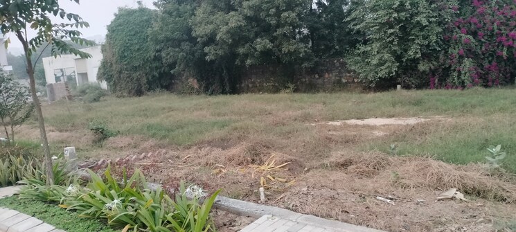 undefined, lion-green-valley-2  129 Sq.Yd. Plot In Sohna Sector 6 Gurgaon 8045872
