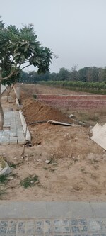 147 Sq.Yd. Plot in Meffier Golden Park