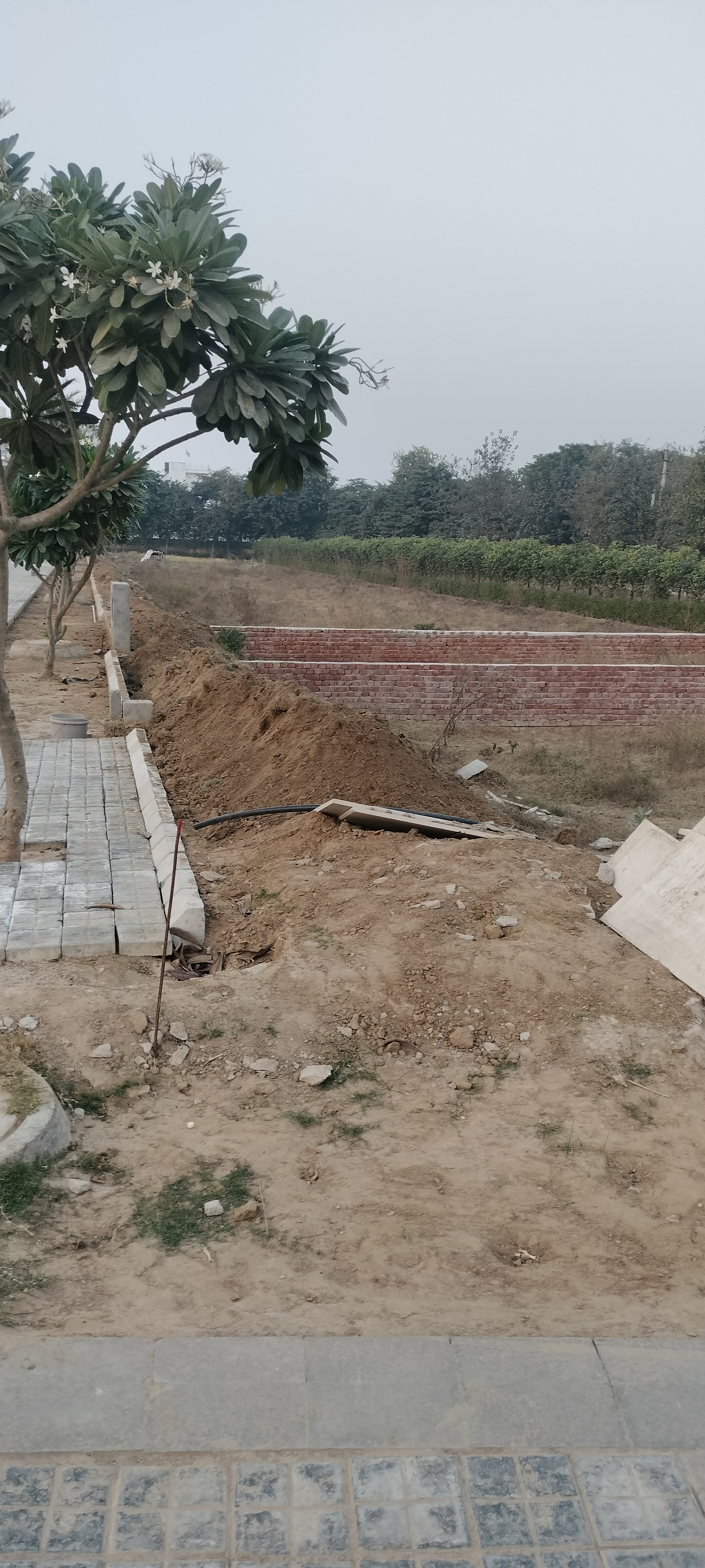 Plot For Sale in Meffier Golden Park