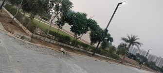 Plot For Resale in Meffier Golden Park Sohna Sector 4 Gurgaon  8046024