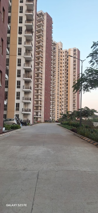 3 BHK Apartment For Resale in Imperia Rubix Sector 37c Gurgaon  8046327