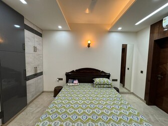 3 BHK Builder Floor For Rent in Sector 40 Noida  8018967