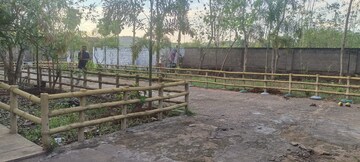 Plot Area in  Plot at Loutolim – for Sale