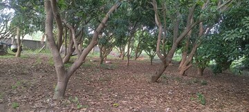 Plot Area in  Plot at Loutolim – for Sale