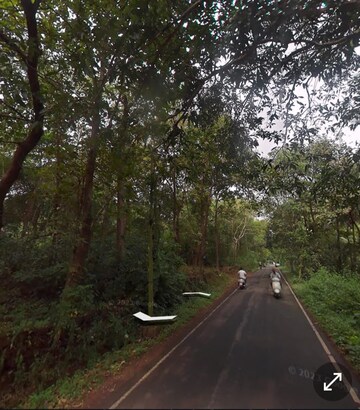 Plot Area in  Plot at Loutolim – for Sale