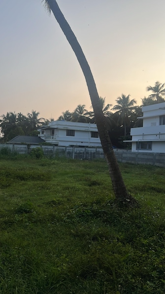 Plot For Resale in Kuttoor Thrissur  8046439