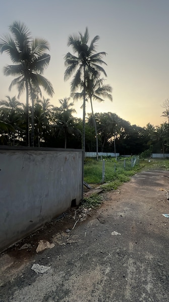 Plot For Resale in Kuttoor Thrissur  8046439