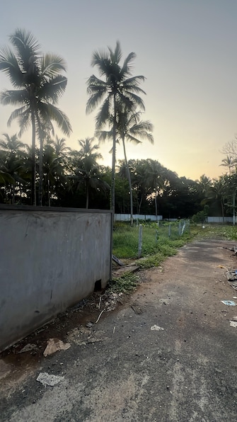 Plot For Resale in Kuttoor Thrissur  8046439