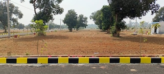 Plot For Resale in Gunupuru Vizianagaram  8044174