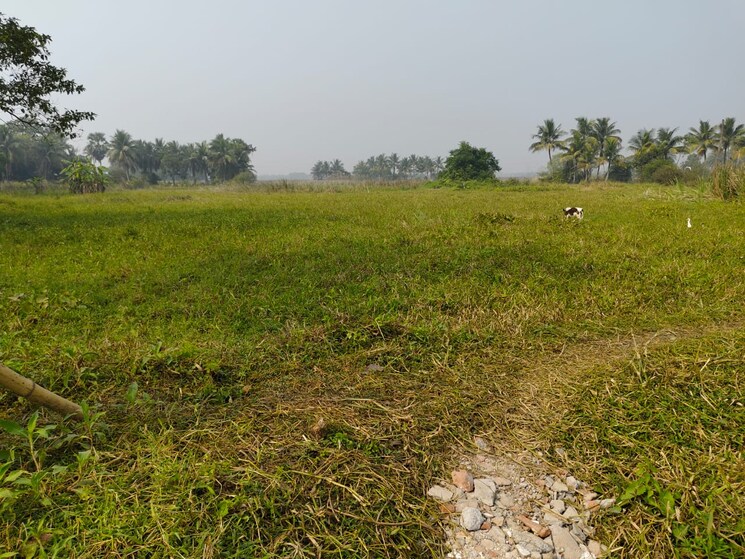 undefined, tollygunge  3600 Sq.Ft. Plot In Tollygunge Kolkata 8046734