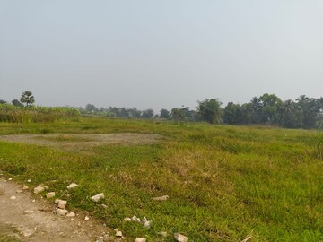 Plot Area in  Plot at Tollygunge – for Sale