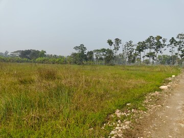 Plot Area in  Plot at Tollygunge – for Sale