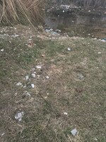 276 Sq.Yd. Plot in Sector 2