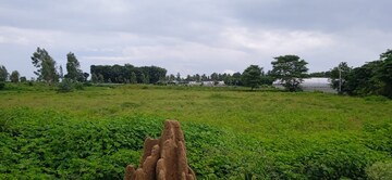 Commercial Land 5 Acre For Resale in Vidyaranyapura Bangalore  8046988