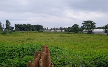 Land For Sale in Vidyaranyapura