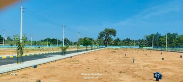 Plot Area in  Plot at Sri Sai Ram Green Fields, Mylanahalli – for Sale