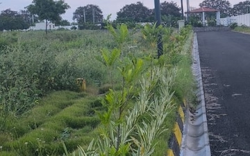 Plot For Sale in Chandigarh Road