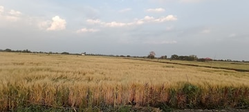 Plot Area in  Plot at Kolar Road – for Sale