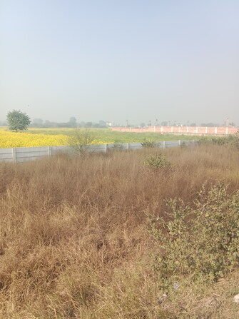 Plot For Resale in Satya Merano Greens Sector 99a Gurgaon  8047426