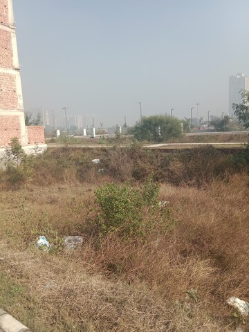 Plot Area in  Plot at Satya Merano Greens, Sector 99a – for Sale
