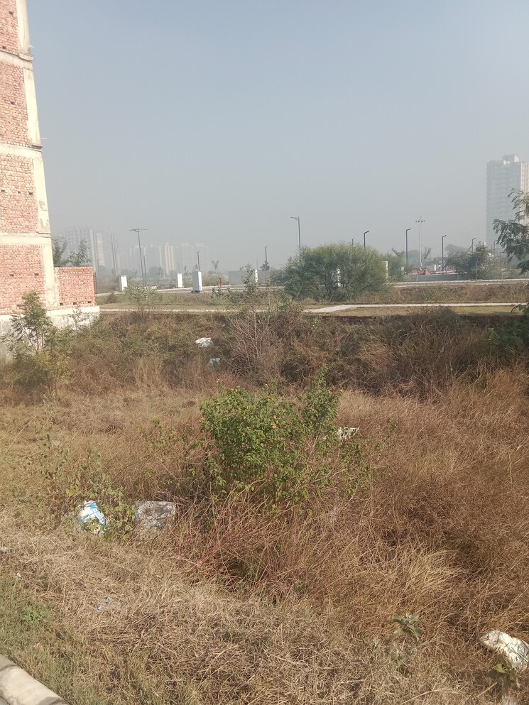 undefined, satya-merano-greens  161 Sq.Yd. Plot In Sector 99a Gurgaon 8047456